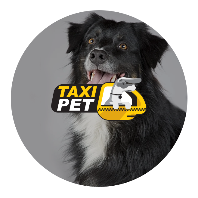TaxiPet- Σύνταξη Κειμένων Ιστοσελίδας, Εύρεση Slogan, Social Media & Blog Content